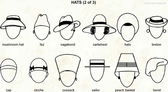 Hats 2  (Visual Dictionary)